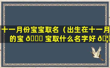 十一月份宝宝取名（出生在十一月的宝 🐒 宝取什么名字好 🦉 ）